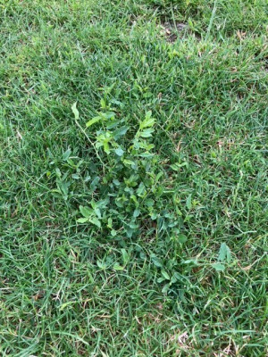 image6.jpeg
