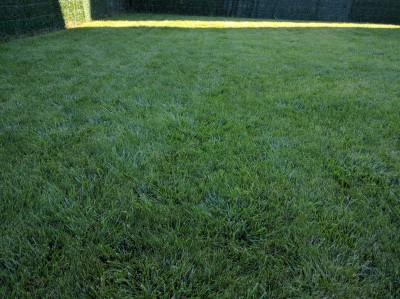 IMG_20160716_192148.jpg