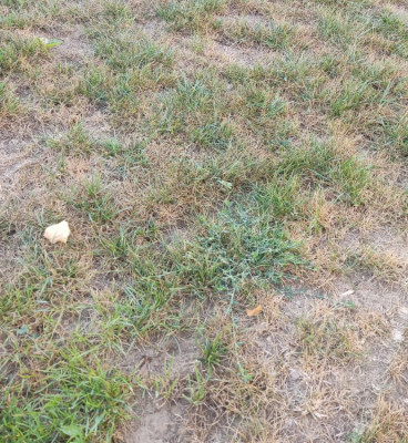 IMG_20220820_110257.jpg