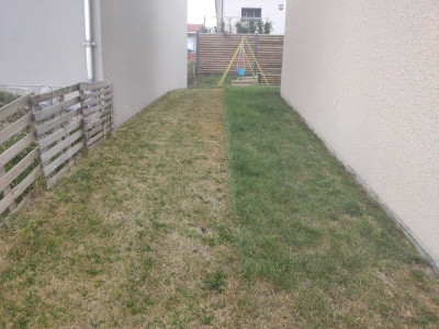 10a.jpg