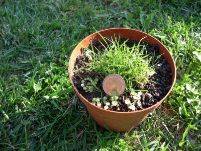 DSCN5957.JPG