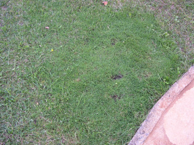 DSCN5955.JPG