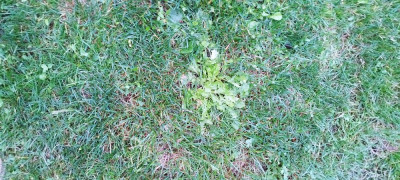 IMG_20220924_181124.jpg