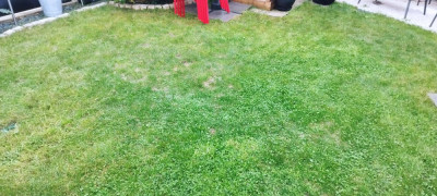 IMG_20220924_181115.jpg