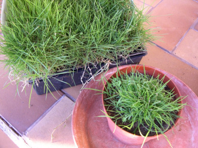 DSCN5963.JPG