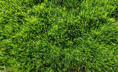 20221016_105822.jpg