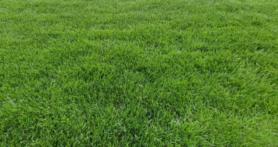 20221026_085111.jpg