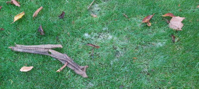 20221030_092649.jpg