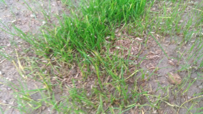 P_20221126_164750_vHDR_Auto.jpg