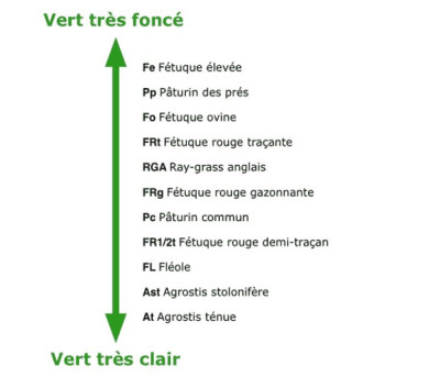 Couleurs en fonction de l'espèce du gazon