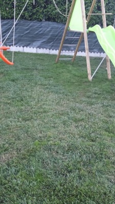 20160807_205551.jpg