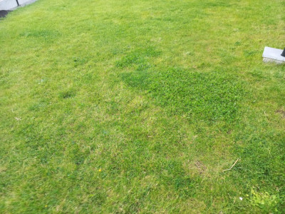20240506_201317.jpg