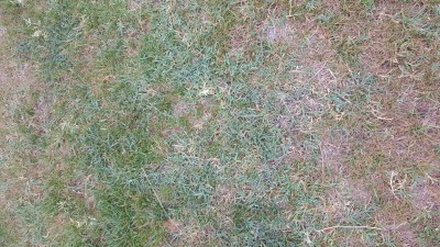 20150508_091952.jpg