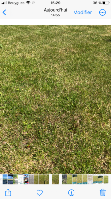 IMG_3028.png
