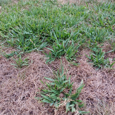 20240813_191844.jpg