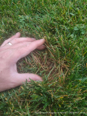 IMG20240917145325.jpg