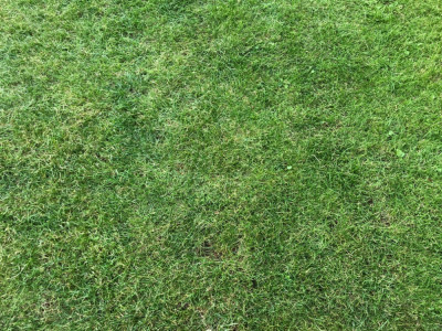 IMG_1672.jpeg