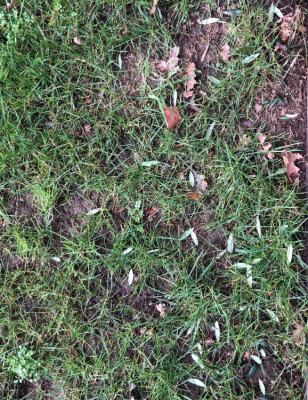 IMG_4973.jpeg