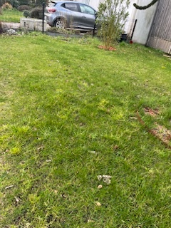 IMG_3846.jpeg