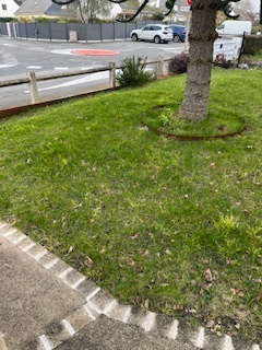 IMG_3844.jpeg