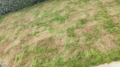 IMG20250320175526.jpg