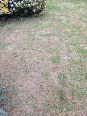PXL_20250419_155434444.jpg