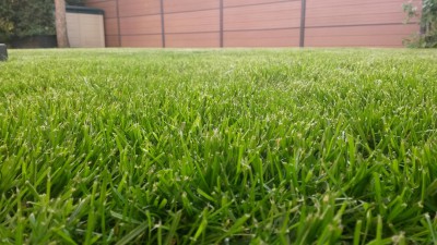 20160815_195047_resized.jpg
