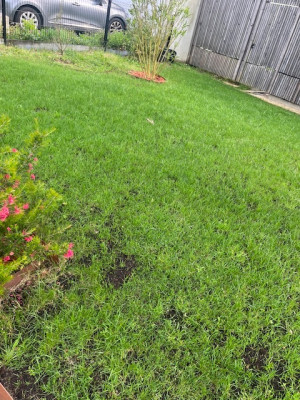 IMG_3981.jpeg