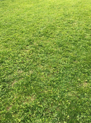 IMG_1113.jpeg