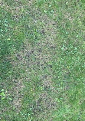 IMG_1266.jpeg
