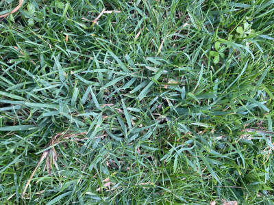 IMG_1274.jpeg