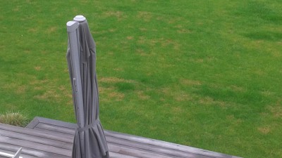 20150502_102239.jpg