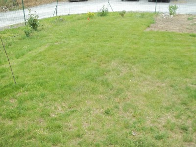 107_1523.JPG