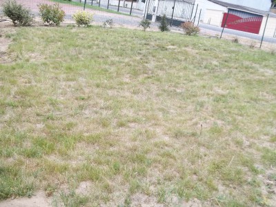 107_1526.JPG