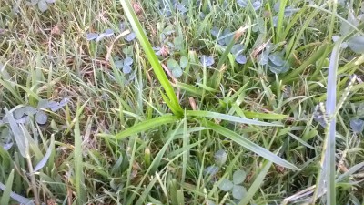 WP_20160831_001.jpg