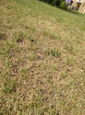 IMG_20160828_115907.jpg