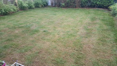20160917_115256.jpg