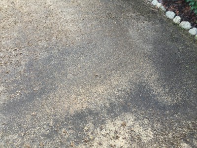 photo de mon gazon avant un orage 1.jpg