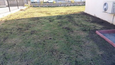 20160924_185438.jpg