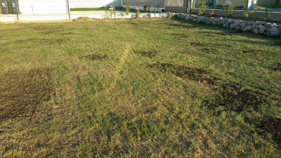 20160924_185545.jpg