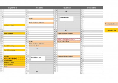 Plannig