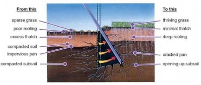 Pourquoi aérer son gazon-min.jpg
