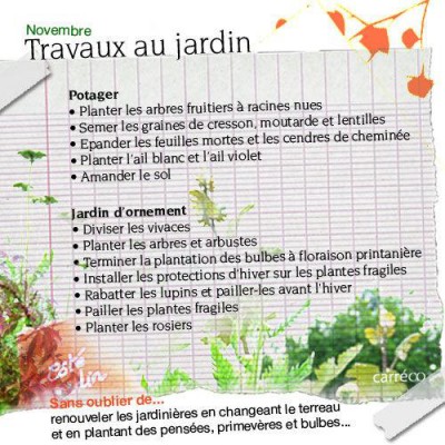 travaux novembre jardin.jpeg