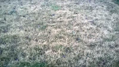 WP_20161212_001.jpg