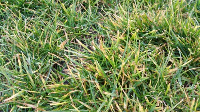 20170113_144218.jpg