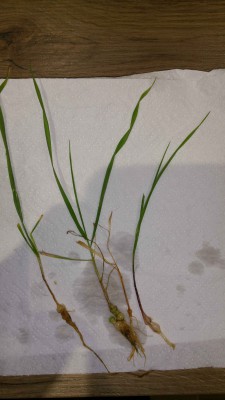 20170118_190649.jpg