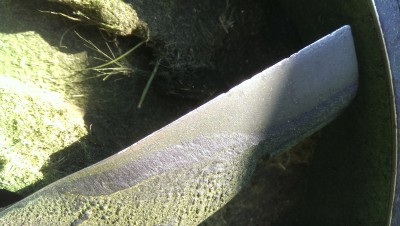 IMAG1277.jpg