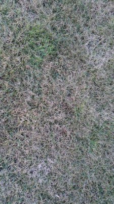 IMG_20170202_165234.jpg
