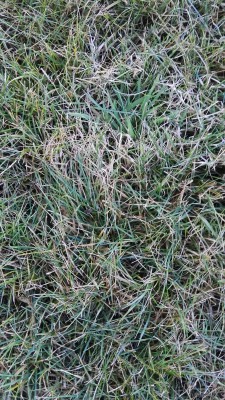 IMG_20170202_165250.jpg