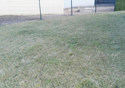 IMG_20170204_123147.jpg